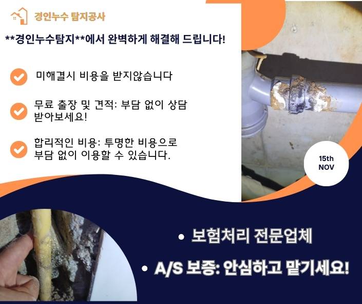 보험전문